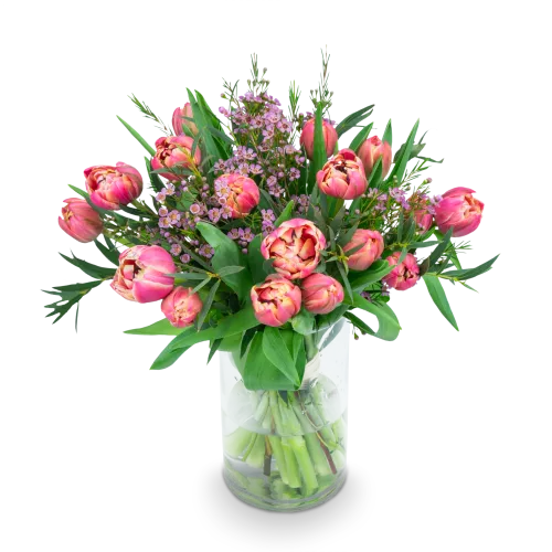 Kytice prémiových tulipánů